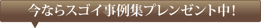 
今ならスゴイ事例集プレンゼント中！